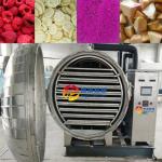 30kg Per Batch Pet Food Meat Fish Fruit Vegetable Vacuum Freeze Drying Machine