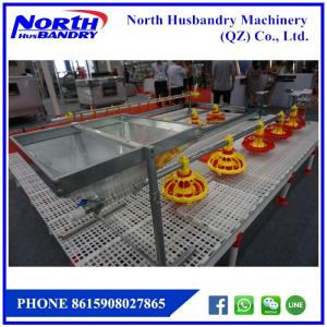 China PAKAN AYAM OTOMATIS factory