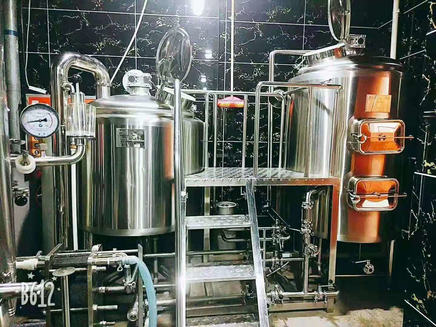 Customizable Micro Home Craft Brewing Equipment Plant 500 Liter Brewery