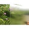Buy cheap High Transmittance Tempered Solar Glass 3.2MM Thickness Flat Shape Energy Saving from wholesalers