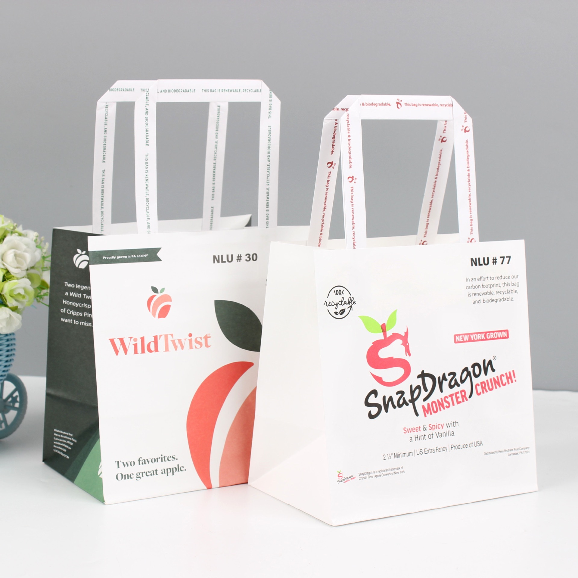 Takeaway Mini White Kraft Paper Bag With Logo for Custom Print Shopping Gift Packaging