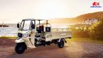 250cc 300C Cargo Tricycle Motorized Tricycle Gasoline 3 Wheels Motorcycle in