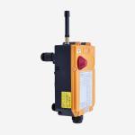 6 Double Speed Overhead Crane Remote Control Telecrane F24-6D Industrial Radio