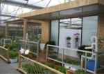 Lightweight Steel Sightseeing Venlo Glass Greenhouse Restaurant Custom Shaped