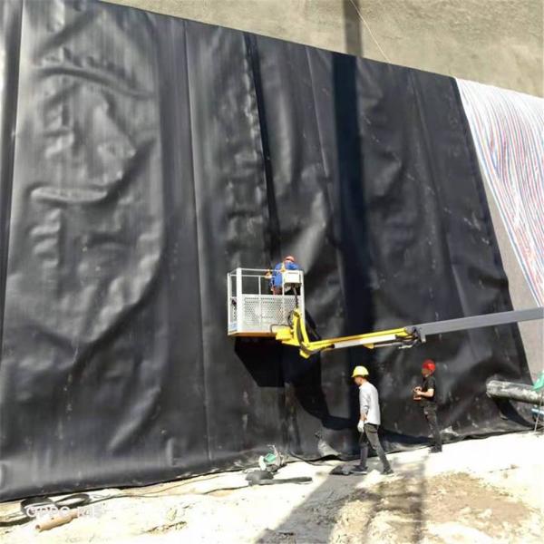 1m-8m Width Asian Design Style Reinforced HDPE LDPE Geomembrane for Landfill 1mm
