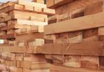 BUY Cedrela Odorata Solid Wood Sheets / Boards 50mm Thickness