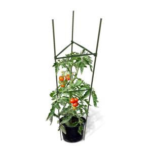 China 3 Stick 120cm 16mm Adjustable Potted Metal Garden Plant Stakes factory