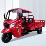 DAYANG Best Safety and Popular 3 Wheel Motorized Tricycles with Five Wheels 12V