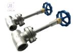 CF3/CF8 PN40 DN25 Stainless Steel Low Temperature Globe Valve For LNG/LOX/LN2