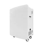 Efficient Antibacterial High-Performance Compact Air Purifier Ion Air Purifier