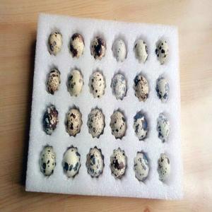 Durable Paper Packaging Material Punching Machine with Hydraulic Syste