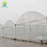 UV Resistant Plastic Film Greenhouse