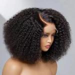 Afro Kinky Curly Lace Front Wig Human Hair 13x4 Transparent Lace Wig Brazilian