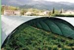 Dark Green , Black Sun Shade Netting ，Hdpe Anti UV Agriculture Net