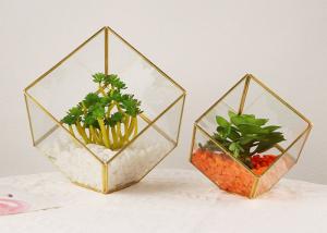 China Micro landscape glass artifact cover display box house succulent plant eternal flower box kids gift wholesale factory