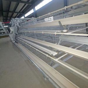 China Full Automatic Hot Galvanized Layer Chicken Cage factory
