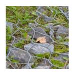 80x100mm Aperture PVC Coated Gabion Box Wire Fencing for TT/Western Union