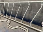 Anti Rust Cattle Diagonal Feed Barriers , Galvanized Steel Cow Feed Barrierse