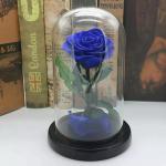 Wholesale Rose Preserved Flower in Glass Dome Flower for Valentines Day