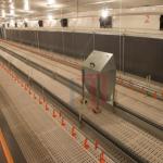 Automatic Prefab Steel Structure Chicken House Q235 Q345 Steel Frame Shed House