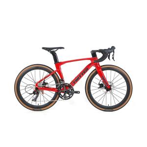 China 22 Speed Carbon Kids Bike Disc Brake 12x142mm Thru Axle Aero Carbon For Racing factory