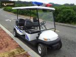 48V Small Battery Operated Custom Electric Golf Buggies to Rear Storage