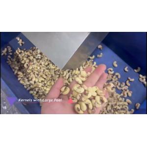8-Lane Intelligent Cashew Grading Machine with AI Sorting and Custom Design