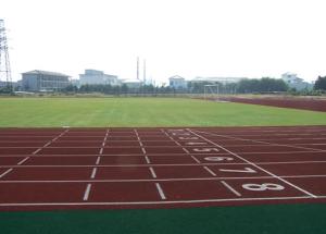 China High Quality Artificial Turf Athletic Field Anti - Wet Lawn For Runway Garden Balcony factory