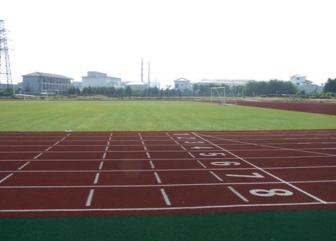 High Quality Artificial Turf Athletic Field Anti - Wet Lawn For Runway Garden
