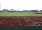 High Quality Artificial Turf Athletic Field Anti - Wet Lawn For Runway Garden