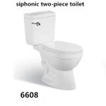 Bathroom Floor Mounted S-trap 220mm Roughing-in Washdown Two-piece Toilet