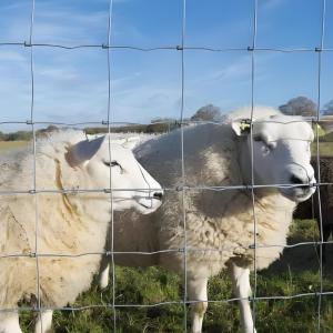 China 1.5M High 100M Length Veldspan High Tensile Wire Cattle Farm Fence factory