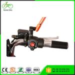2017 Electric Moped Scooter 60V 23.2AH Tianneng Battery Pedal Assist Max Speed