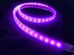50m Outdoor RGB IP67 PVC 120V 220V Flexible LED Strip Light