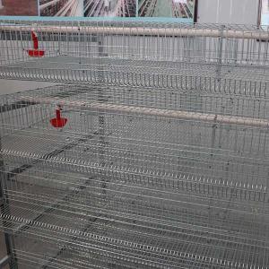 China Indoor Farm Quail Breeding Cages 6 Tiers 12 Cell 288 Quails factory