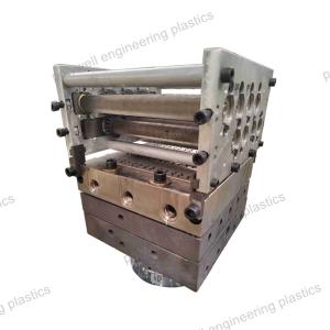 China Unique Mold Design For Nylon Extruder Production Of Polyamide Insulation Strips factory