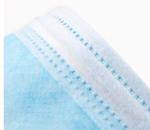 Health Protective 3 Ply Earloop Face Mask