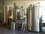 Red Copper Beer Brewing Equipment/Equipment for Producing Beer on a Small Scale