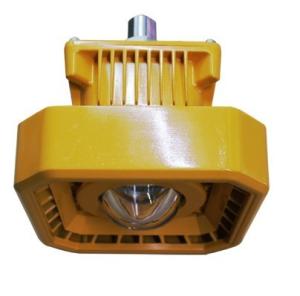 China 100W LED Explosion-proof Light with IP66 Protection Grade, COB High Brightness factory