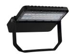 SMD3030 100W Explosion Proof High Power Led Floodlight Die Casting Aluminum