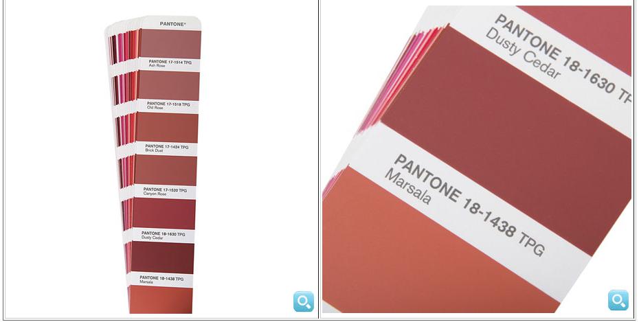 pantone tpc color card