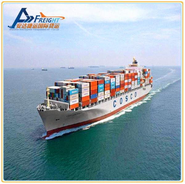 Sea Freight International Logistcs forwarder DDU DDP Services From Shenzhen to