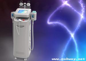 China Promotion--- cryolipolysis cellulite removal machine for weight losing on the whole body factory