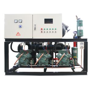 Parallel Piston Compressor Multiple Refrigerants Piston Compressor That Supports