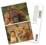 PLASTIC LENTICULAR custom 3d printed business photography cards PP PET