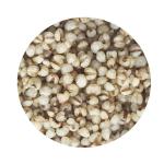 100% Pure Natural Steamed Job'S Tear Roasted For Drink