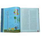 Engineering in Plain Sight Education books Offset Printing