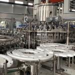 30000BPH Pure Water Bottle Filling Machine Mineral Water Bottling Machine