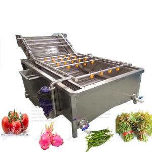 China 300kg/H Vegetable Fruit Washer Bubble Washing Machine factory