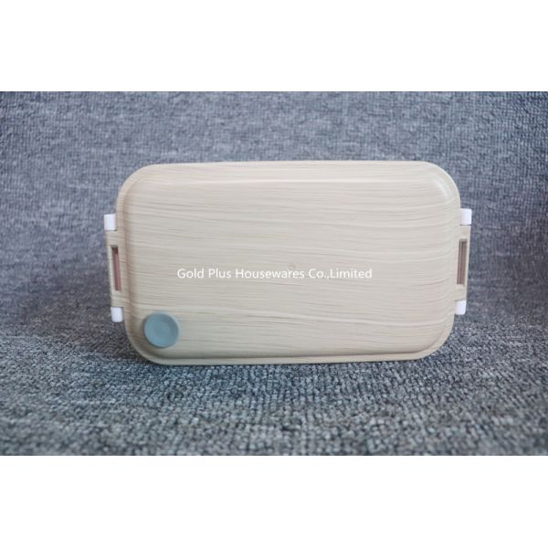 Two Compartment Plastic Bento Boxes With Locked Handle 2layer
